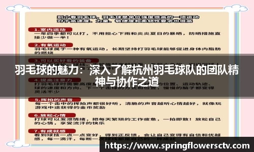羽毛球的魅力：深入了解杭州羽毛球队的团队精神与协作之道