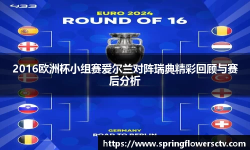 2016欧洲杯小组赛爱尔兰对阵瑞典精彩回顾与赛后分析